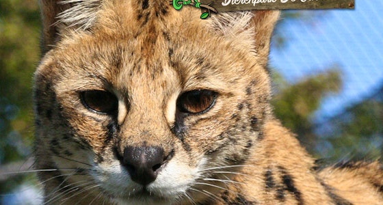 2 tickets voor Dierenpark de Oliemeulen!